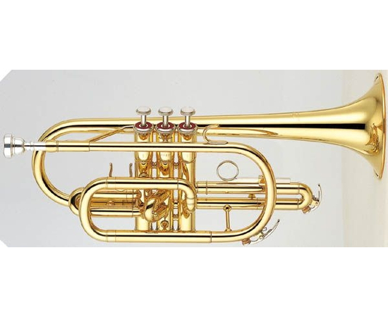  - 21928 за 0 грн. | 4Club